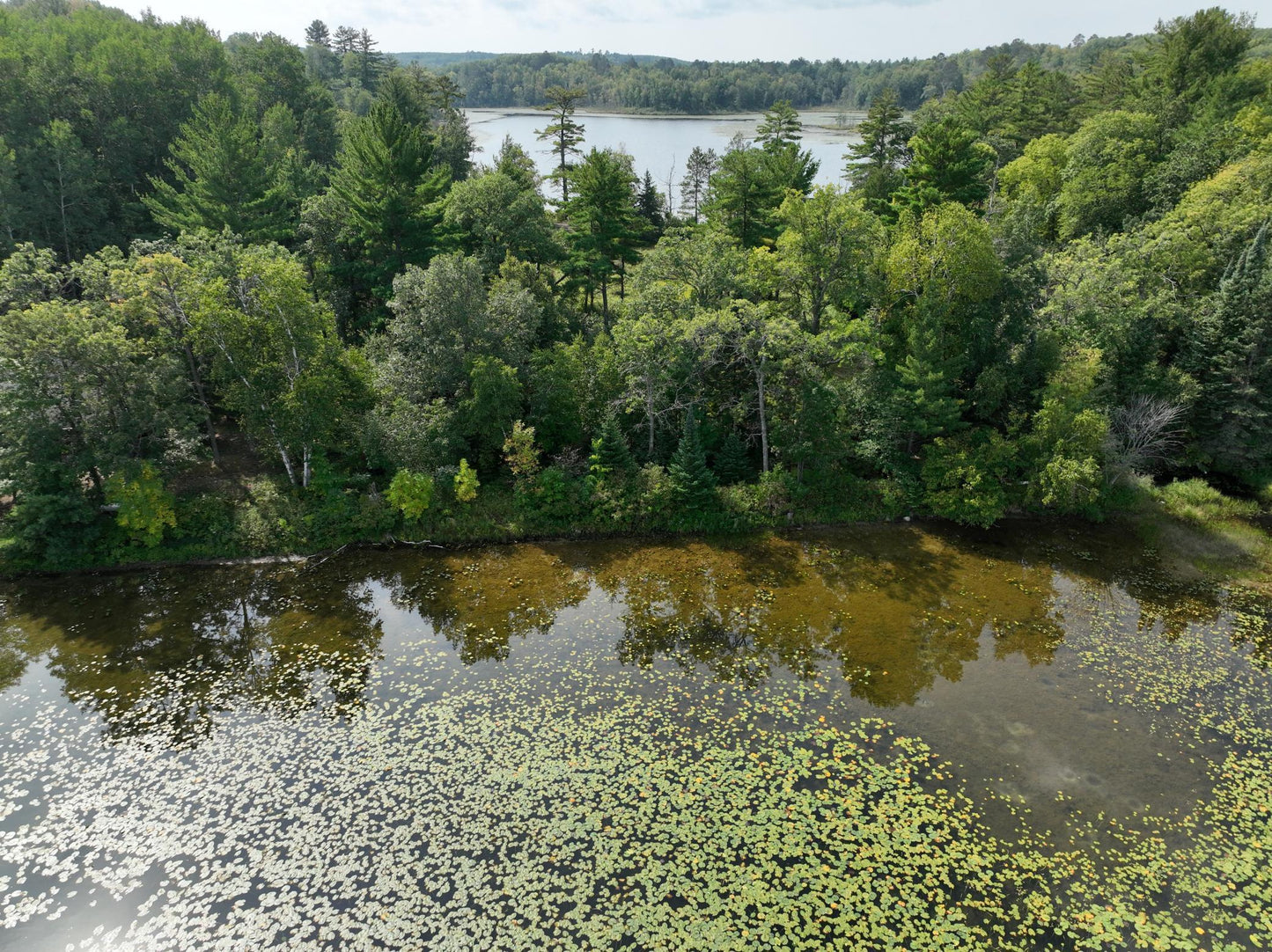 TBD Camp Fish Road, Akeley, MN 56484