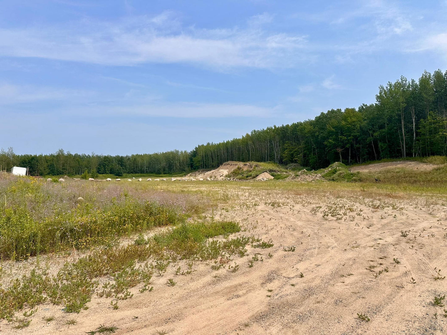 TBD-Lot 8 Ottertail Road, Walker, MN 56484