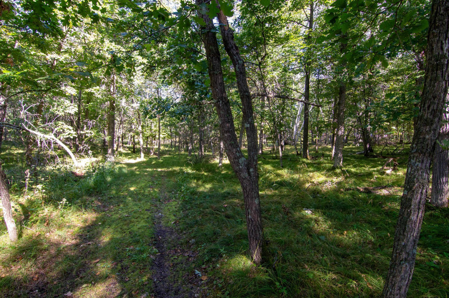 TBD Deacons Way, Pequot Lakes, MN 56472