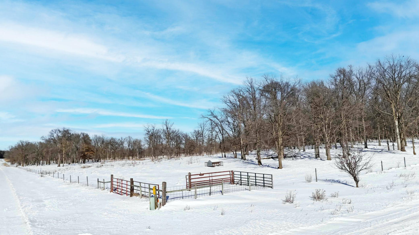 41Acres Red Oak Road, Staples, MN 56479