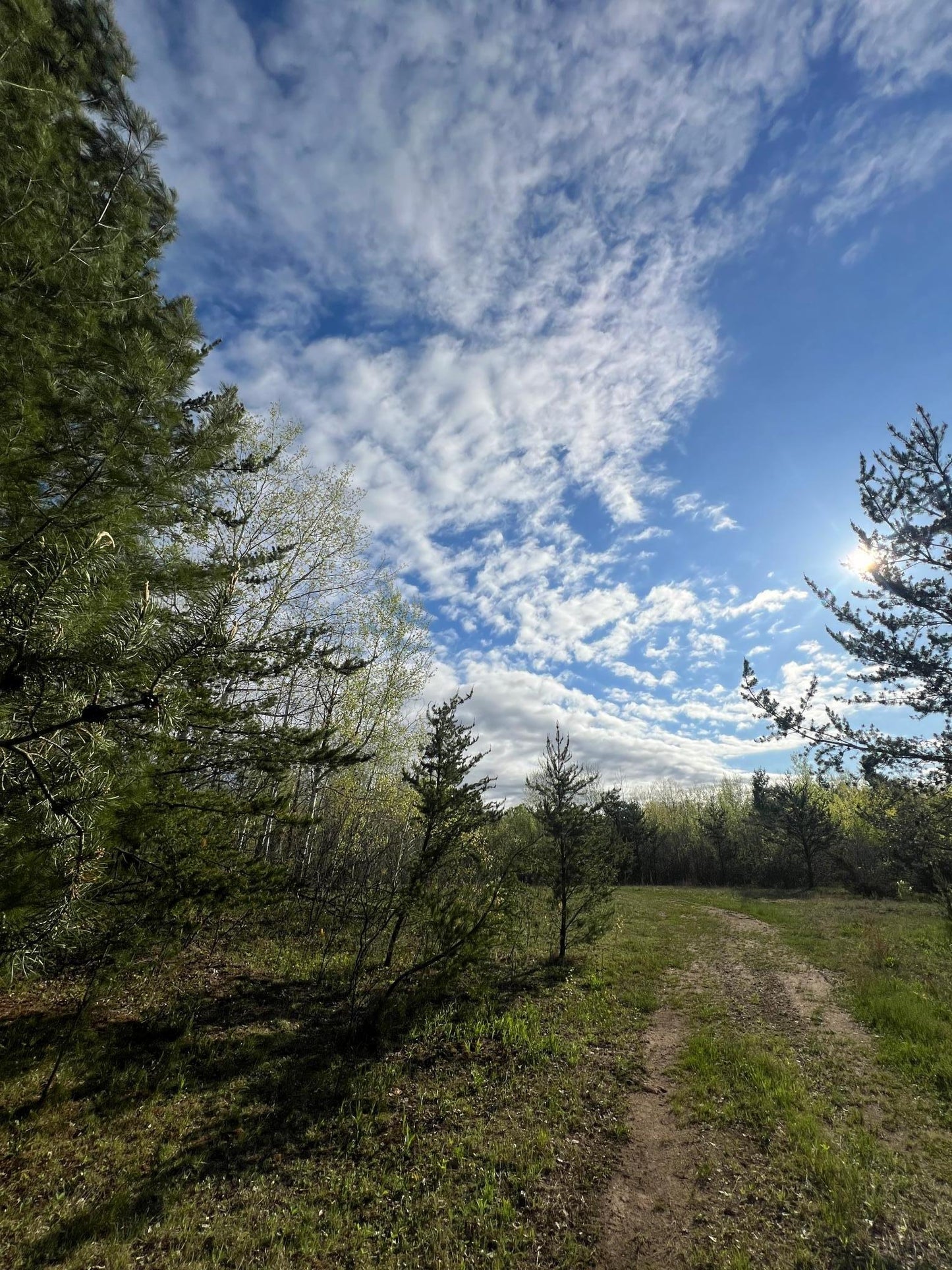 XXX Agate Drive, Pine City, MN 55063