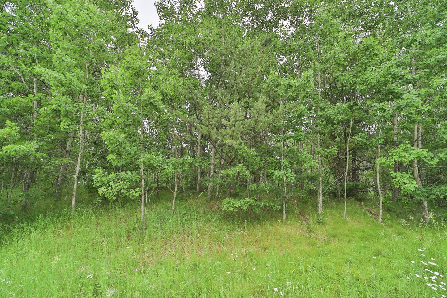 XXX Beaver Dam Road, Brainerd, MN 56401