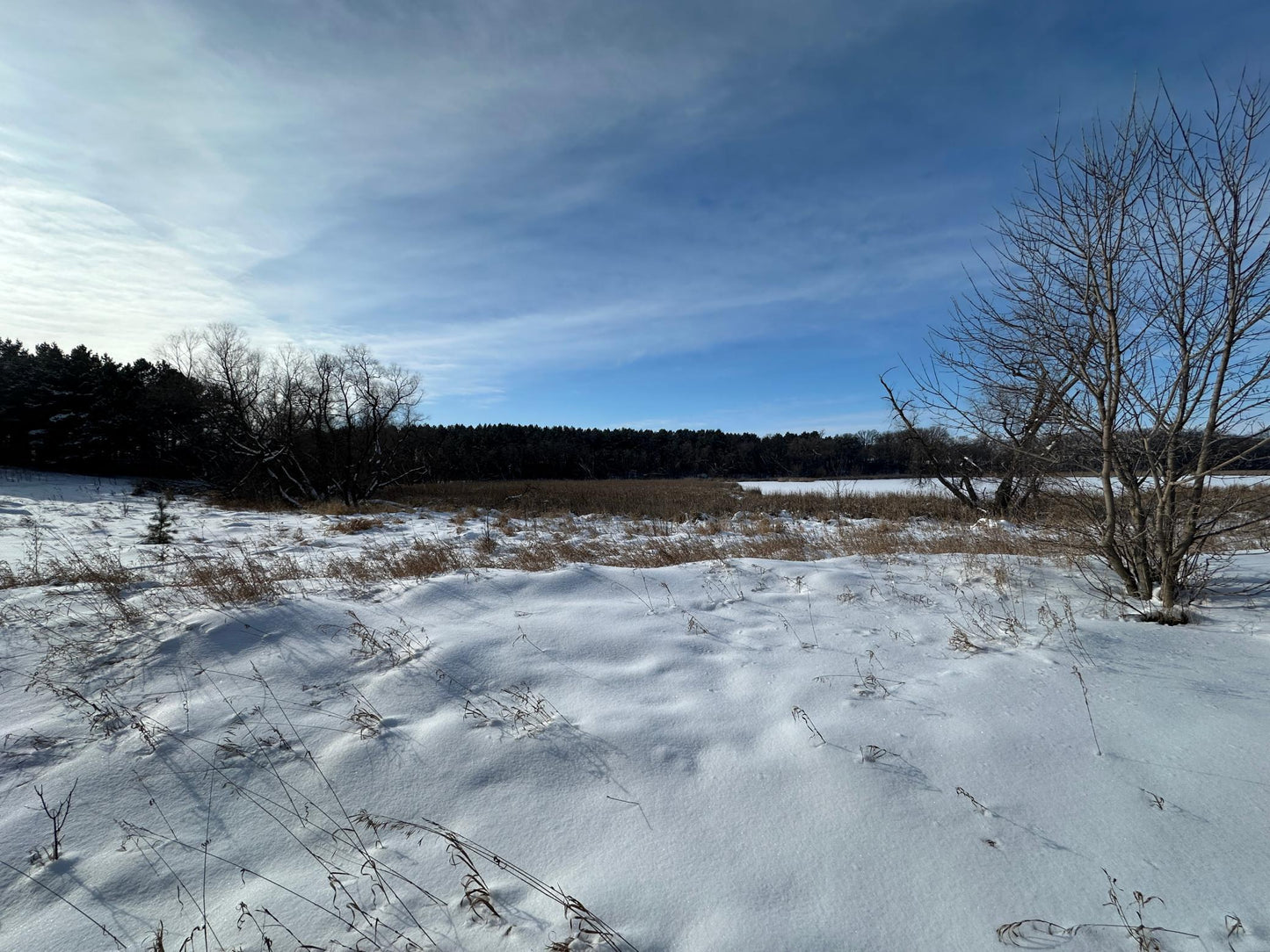 TBD Hwy 59 , Elizabeth Twp, MN 56534