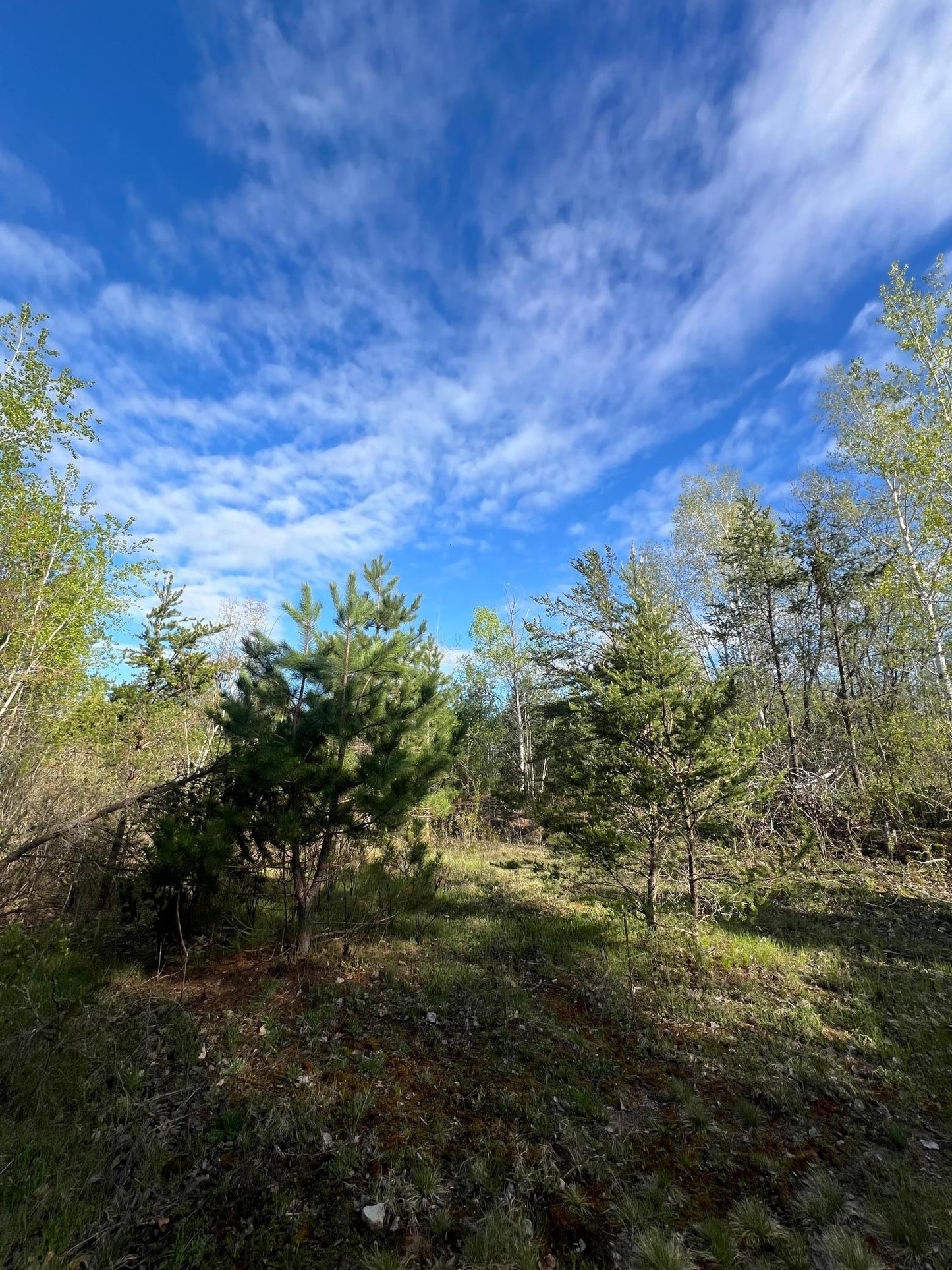 XXX Agate Drive, Pine City, MN 55063