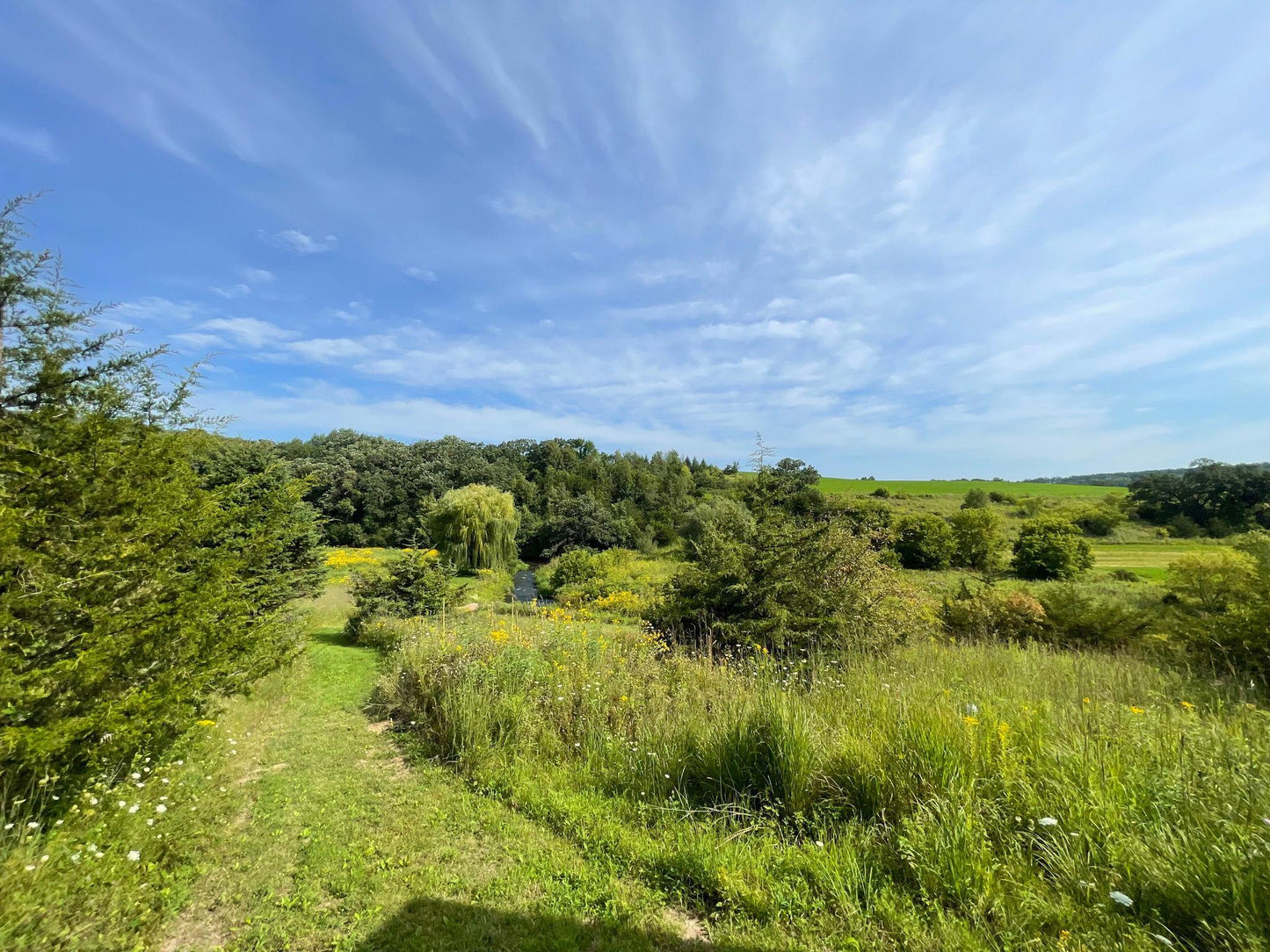 TBD County 8 , Spring Grove Twp, MN 55954