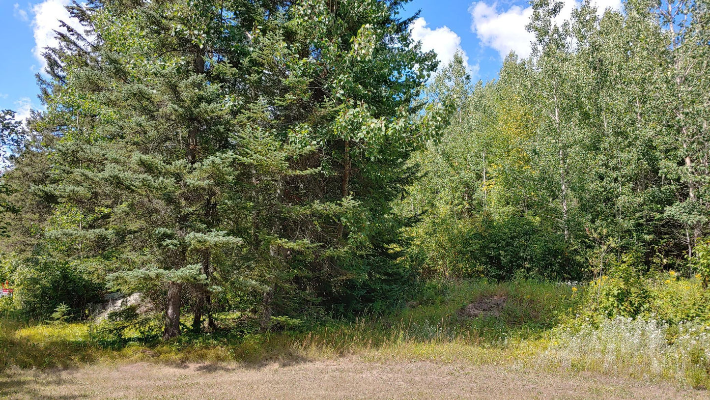 10339-Lot 4 Ash River Trail, Orr, MN 55771