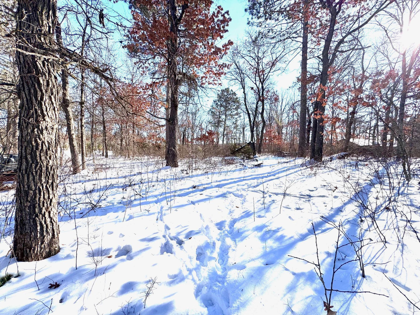 TBD 141st Avenue, Blueberry Twp, MN 56464