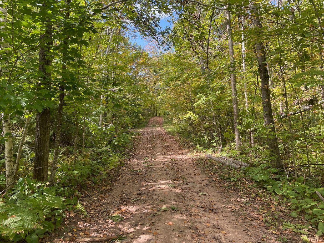 TBD Rainbow Trout Trail , Sandstone, MN 55072