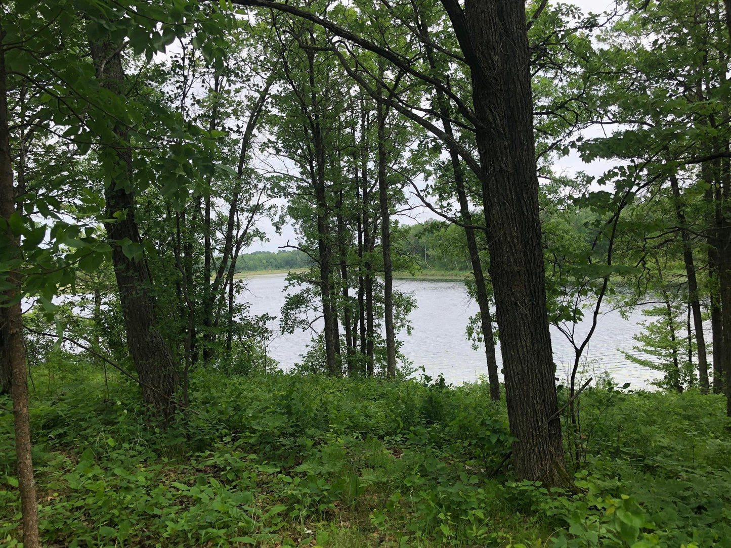 TBD Turtle Lake Drive, Walker, MN 56484