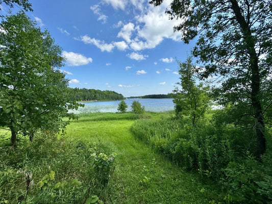 289XX Buffalo Lake Rd D , Callaway, MN 56521