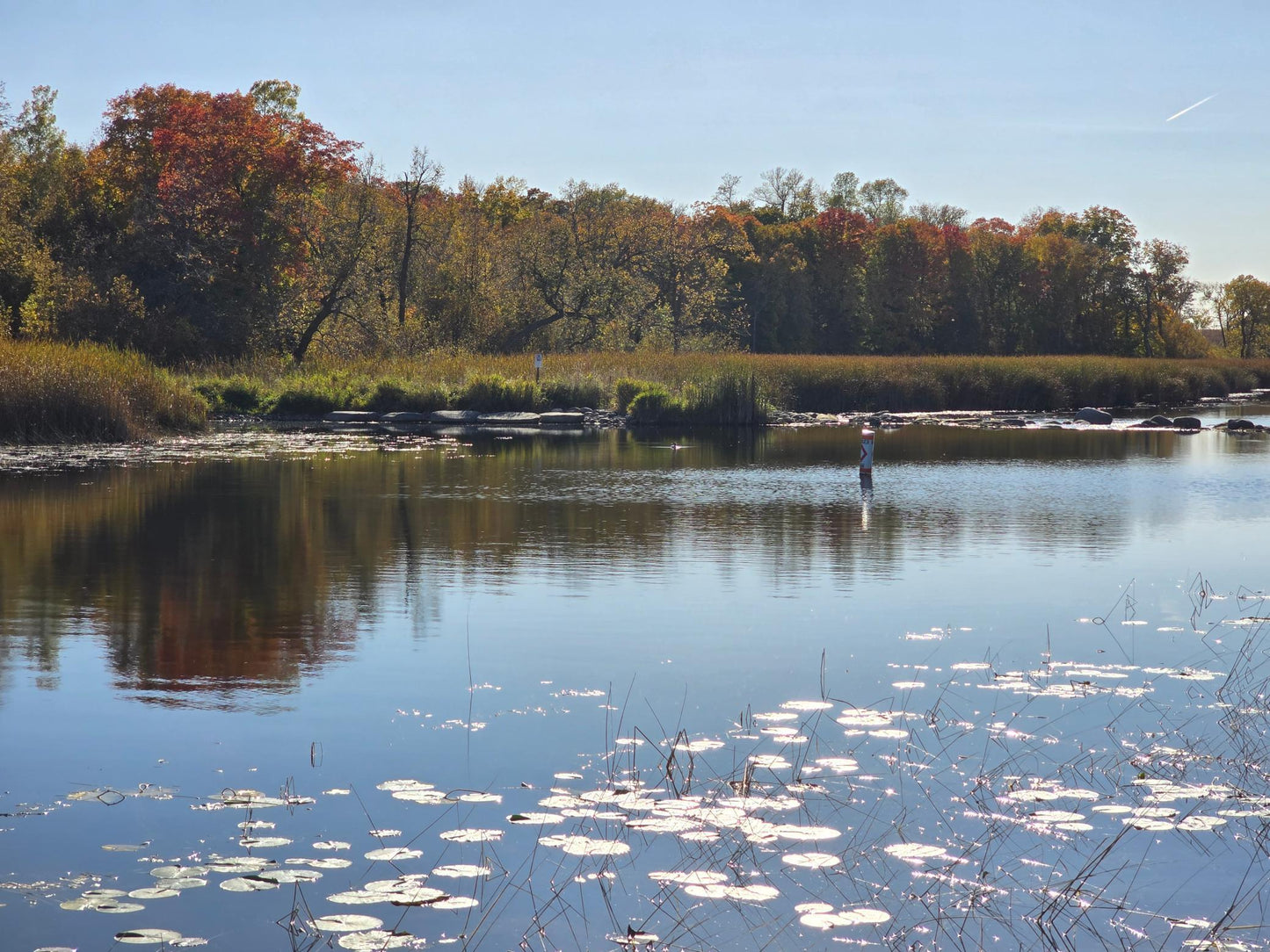 Tract I Blybergs Lane , Pelican Rapids, MN 56572