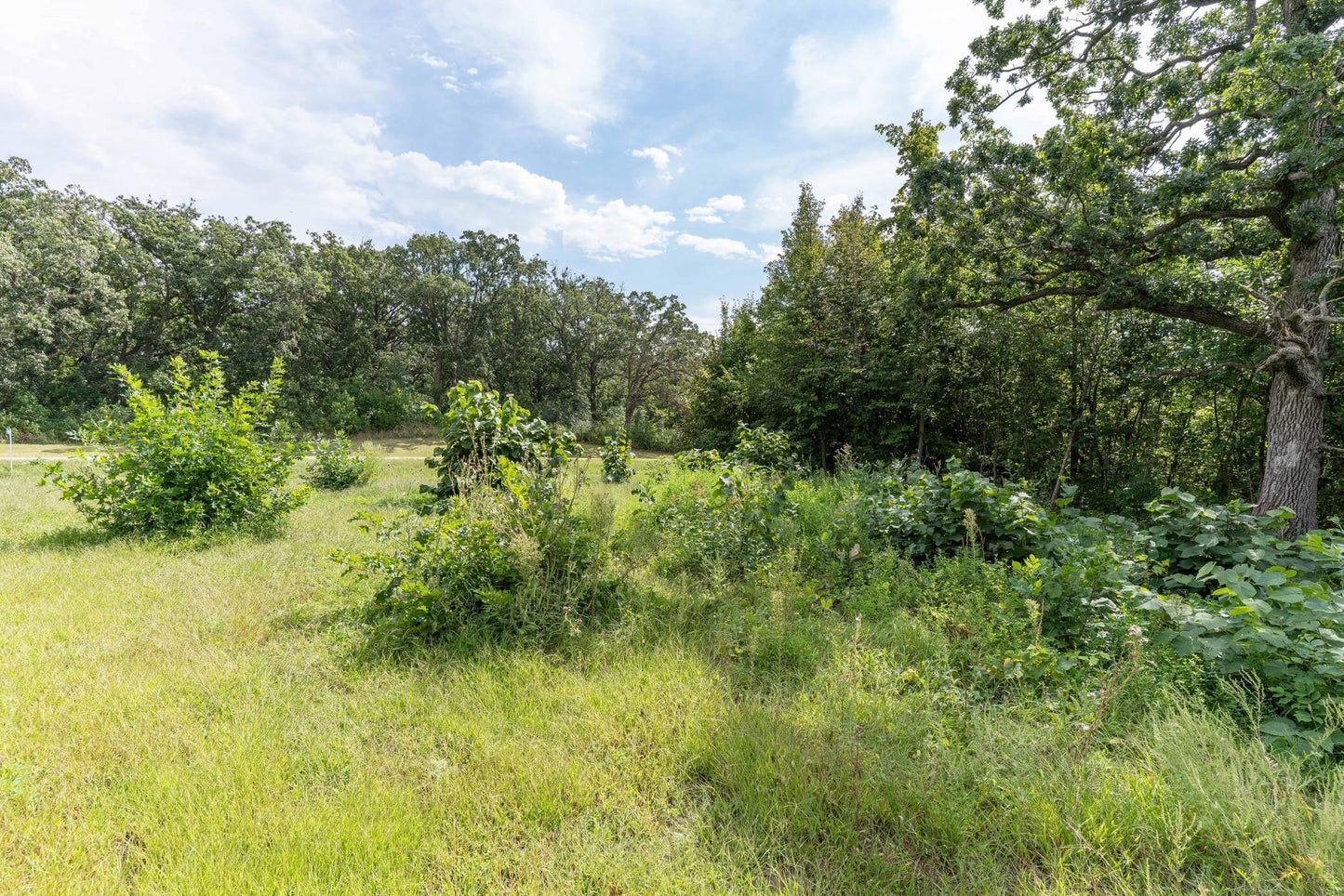 Lot D 202nd Avenue, Fergus Falls, MN 56537