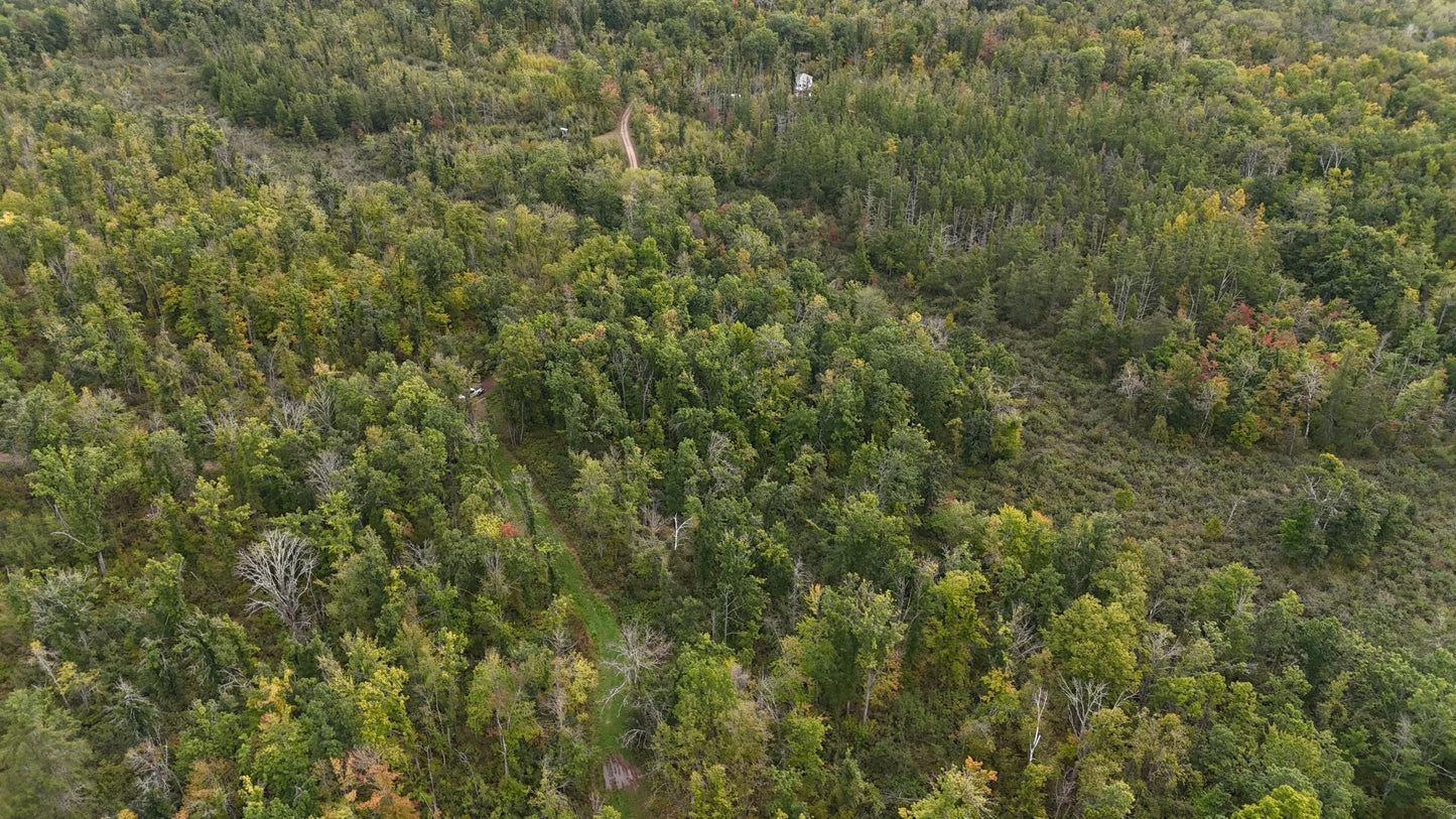 TBD Rainbow Trout Trail , Sandstone, MN 55072