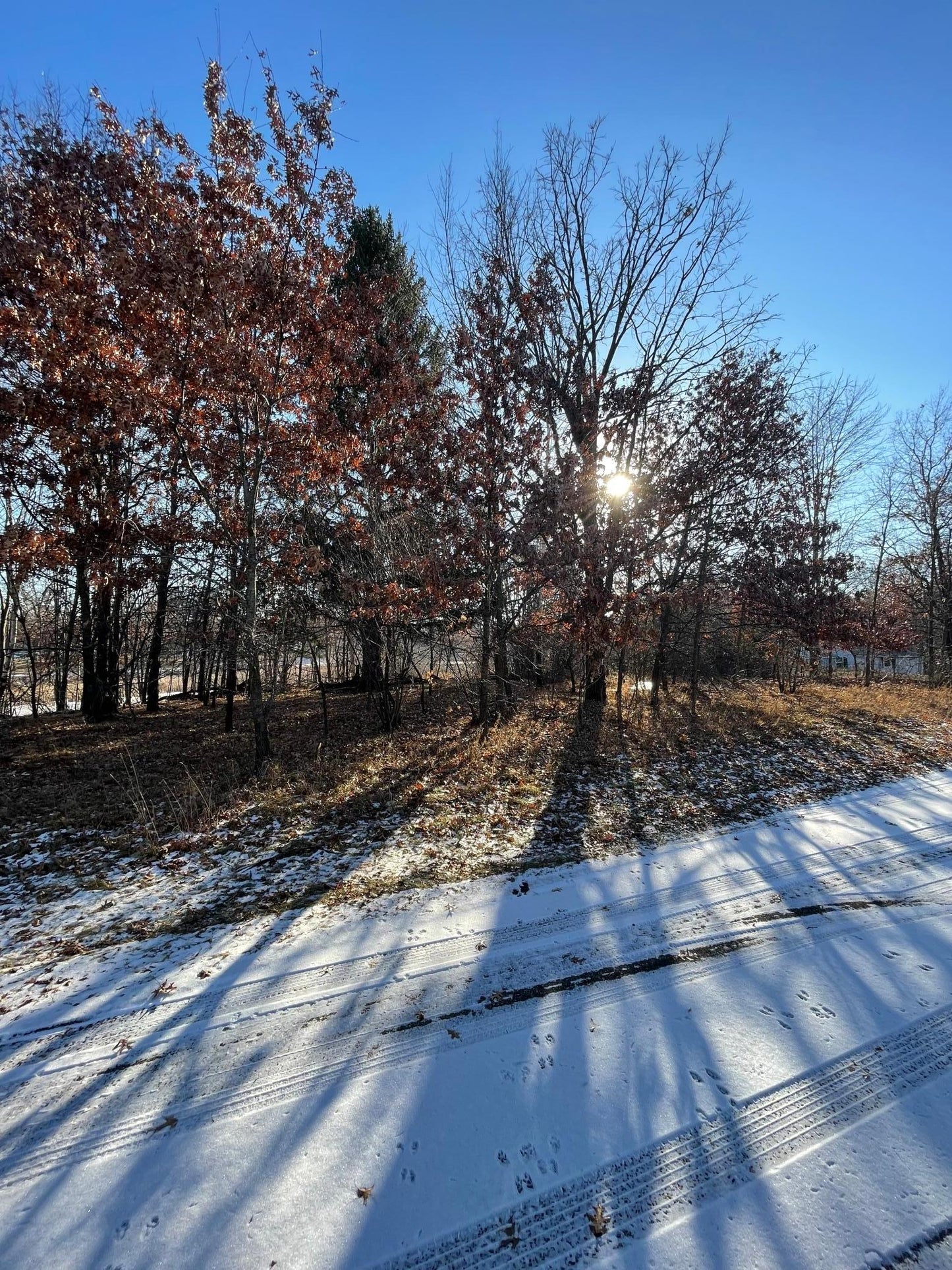 xxx Fawn Road, Linwood Twp, MN 55092