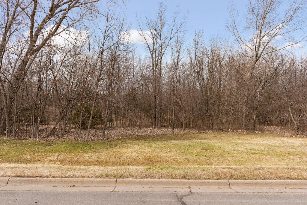 TBD Lake Blvd , Buffalo, MN 55313