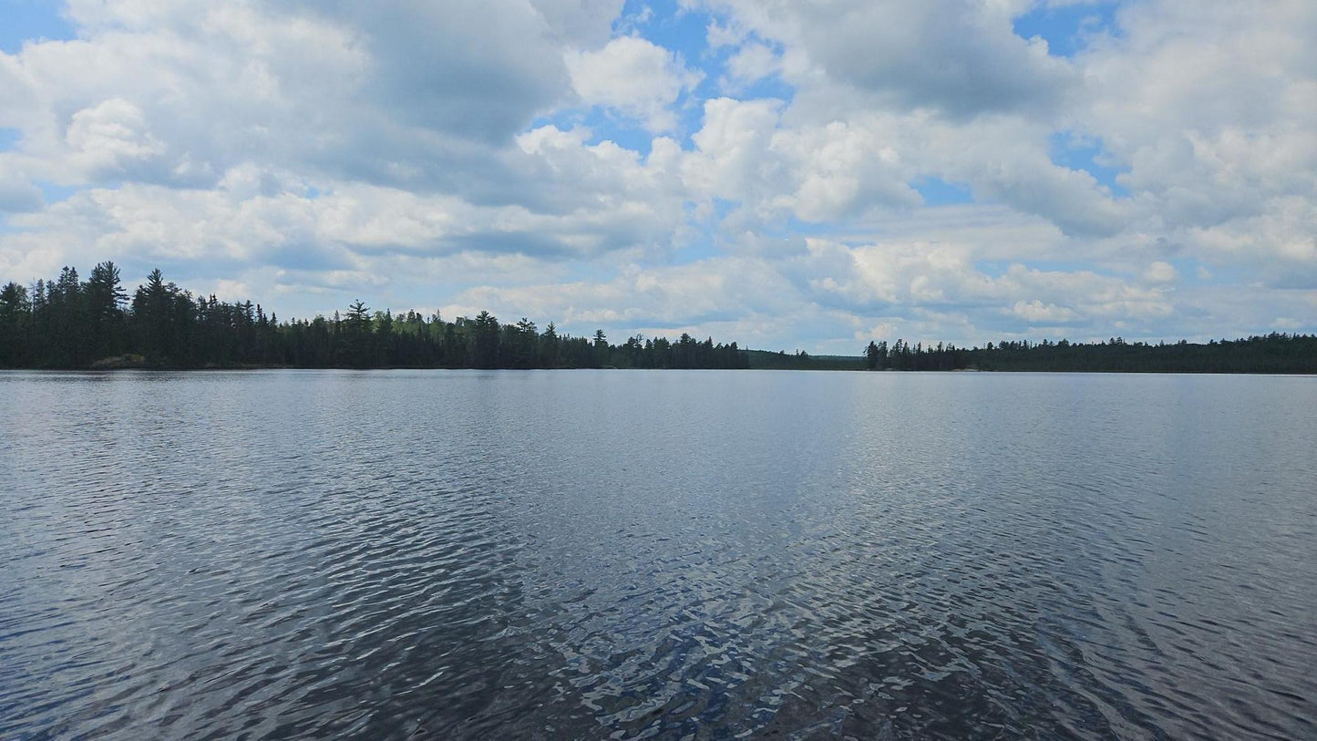 TBD Ban Lake Spur, Orr, MN 55771