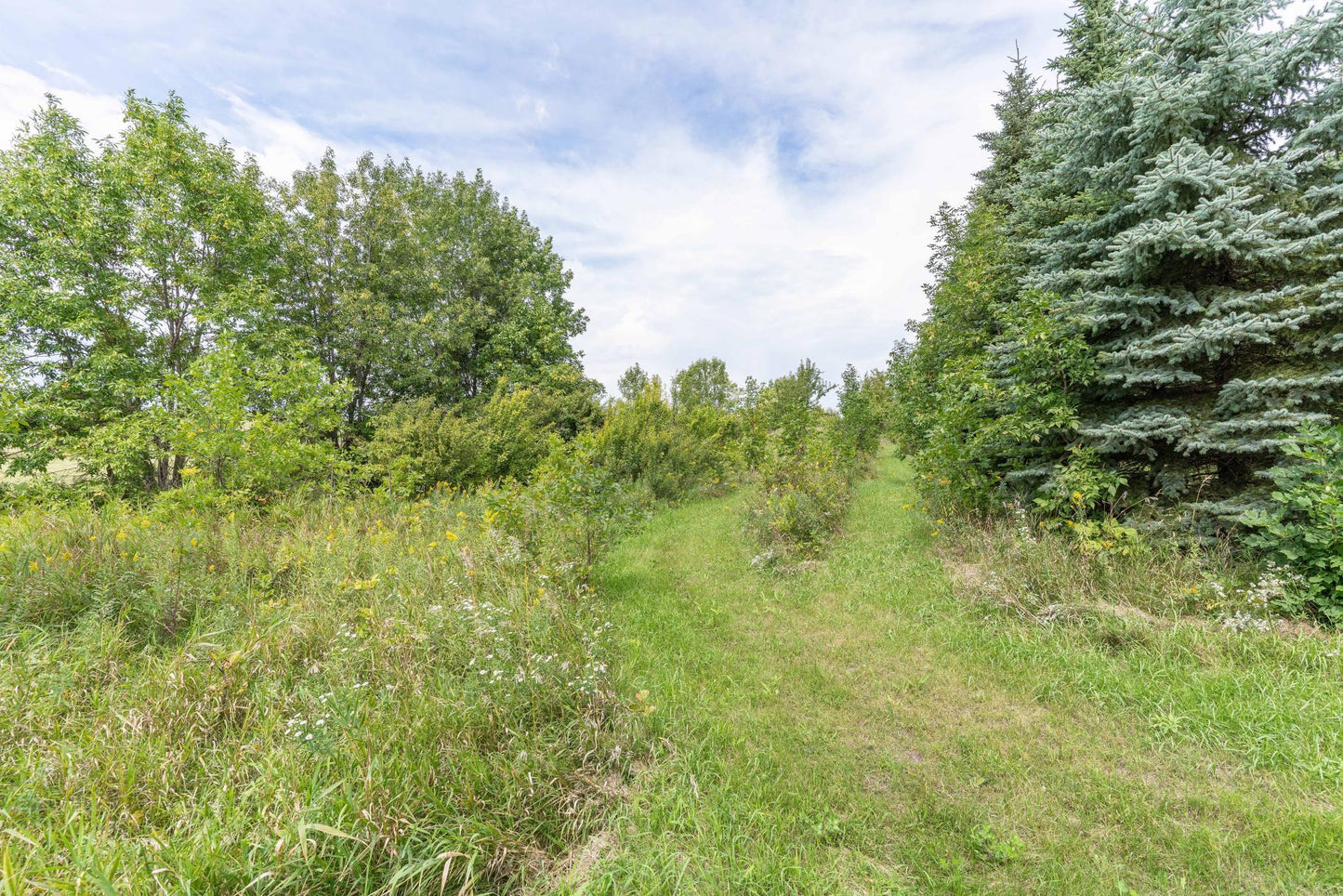 Lot D 202nd Avenue, Fergus Falls, MN 56537